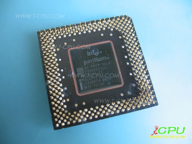 FV80503166 SL2ZX 19V MALAY