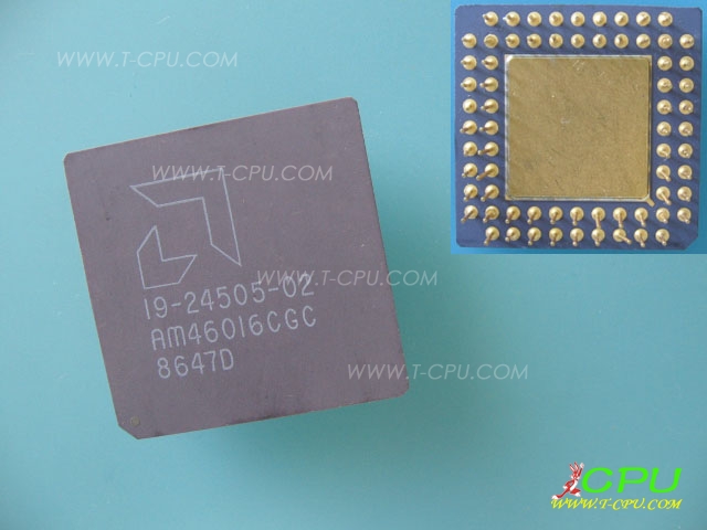AMD AM46016CGC