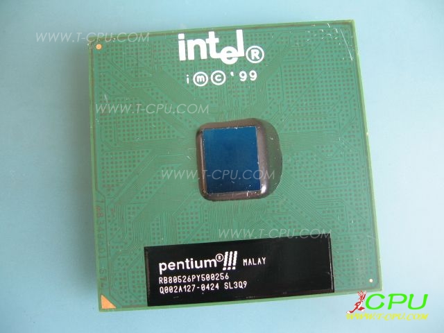 RB80526PY500256 SL3Q9