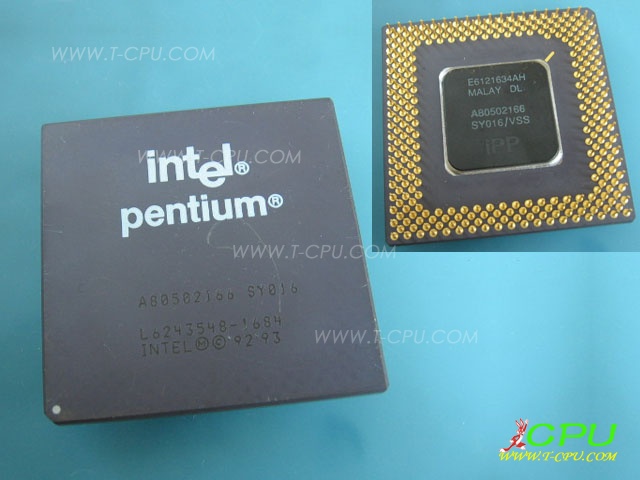 A80502166 SY016 MALAY