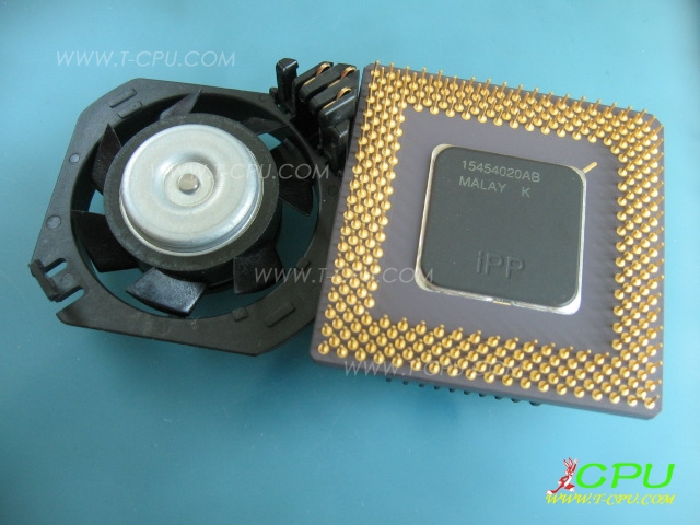 PODP3V125 SU081 MALAY