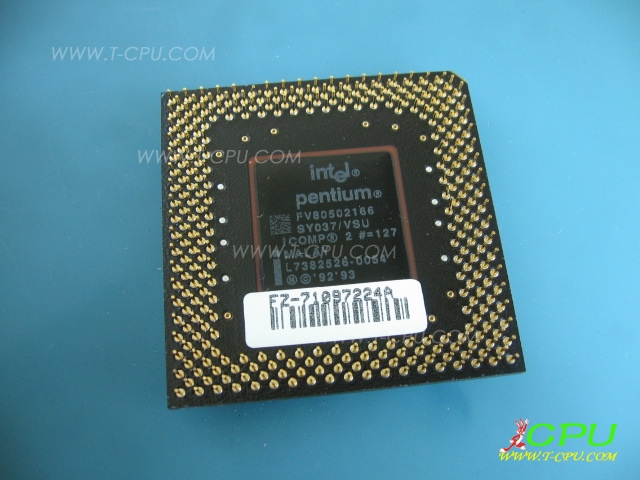 FV80502166 SY037 MALAY