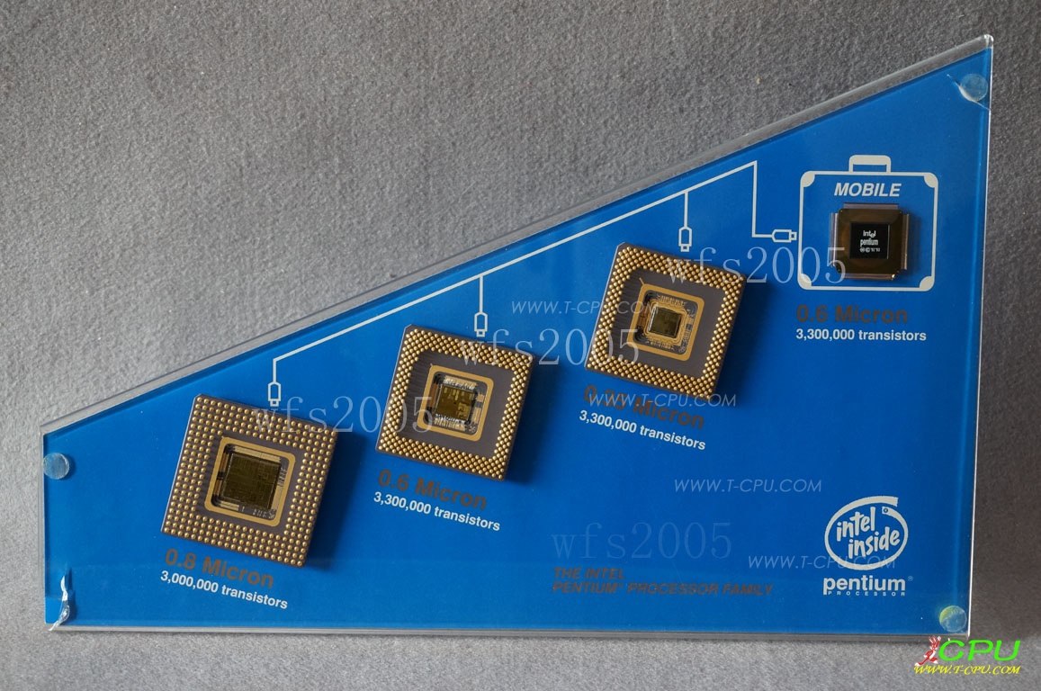 Intel pentium processor family