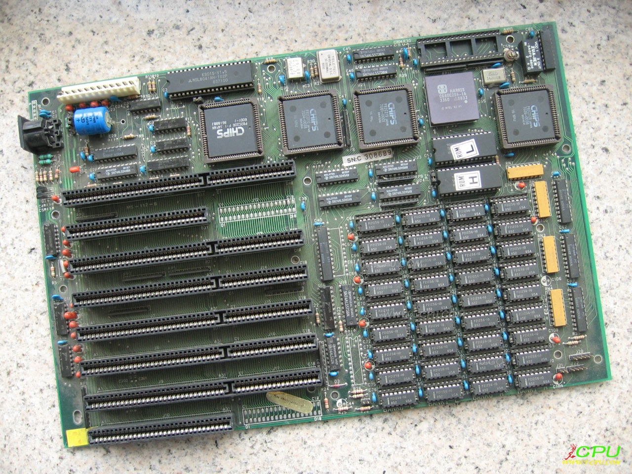 MS 122 B