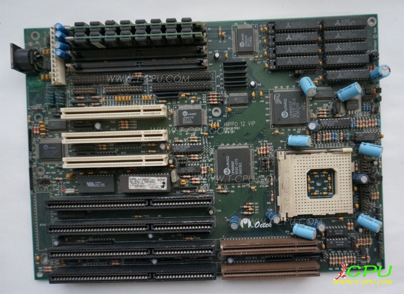 海洋Octek HIPPO 12 VIP