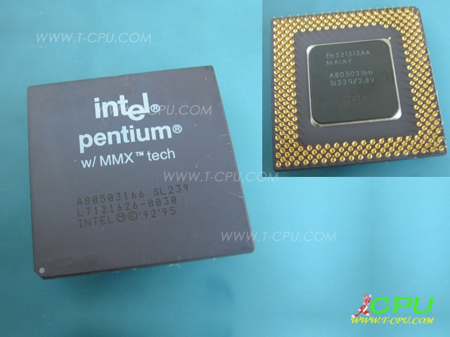 A80503166 SL239 MALAY