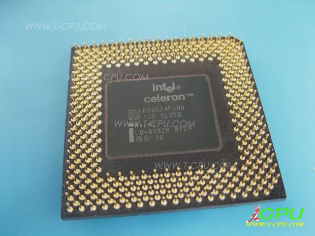 B80524P300 SL35Q